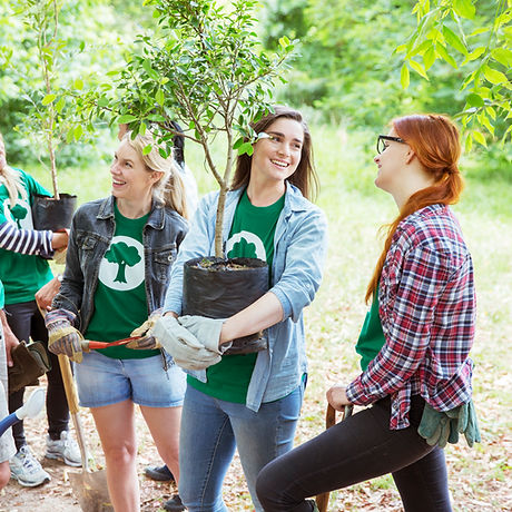 Planting Trees