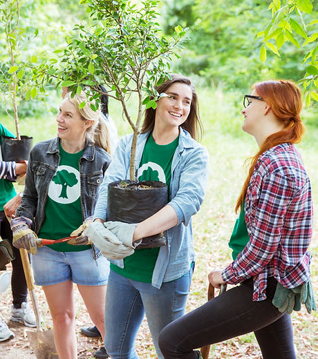 Planting Trees