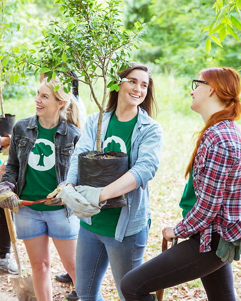 Planting Trees