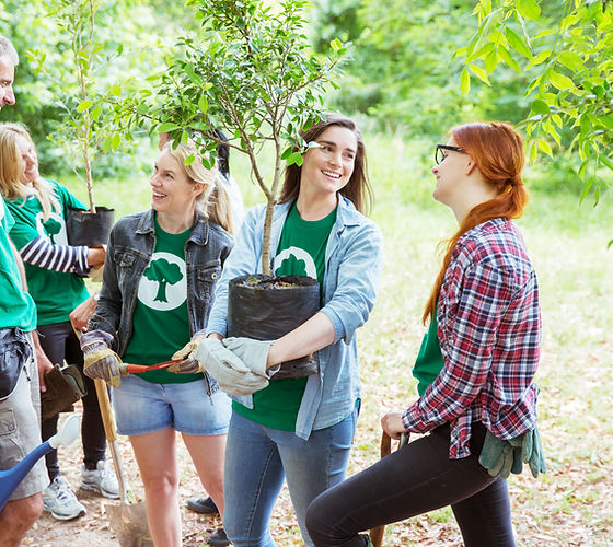 Planting Trees