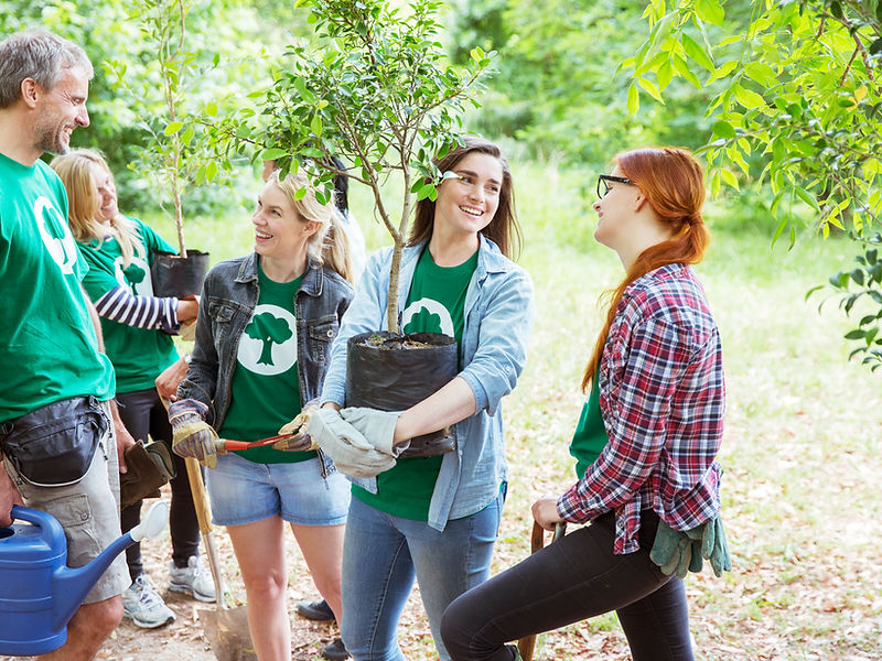 Native Landscaping
