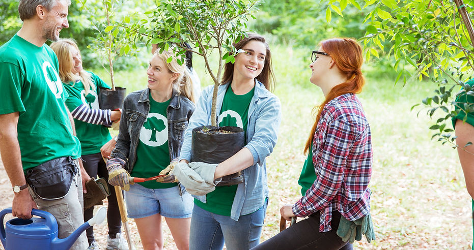 Plantando árboles