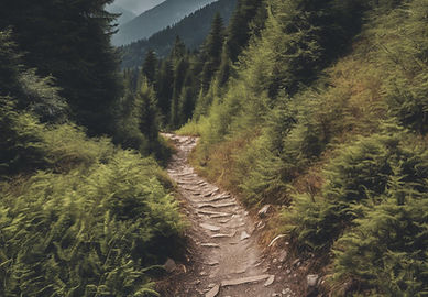Mountains, forrest, hiking, trail.jpg