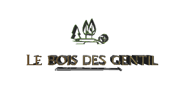 LOGO 3D.gif