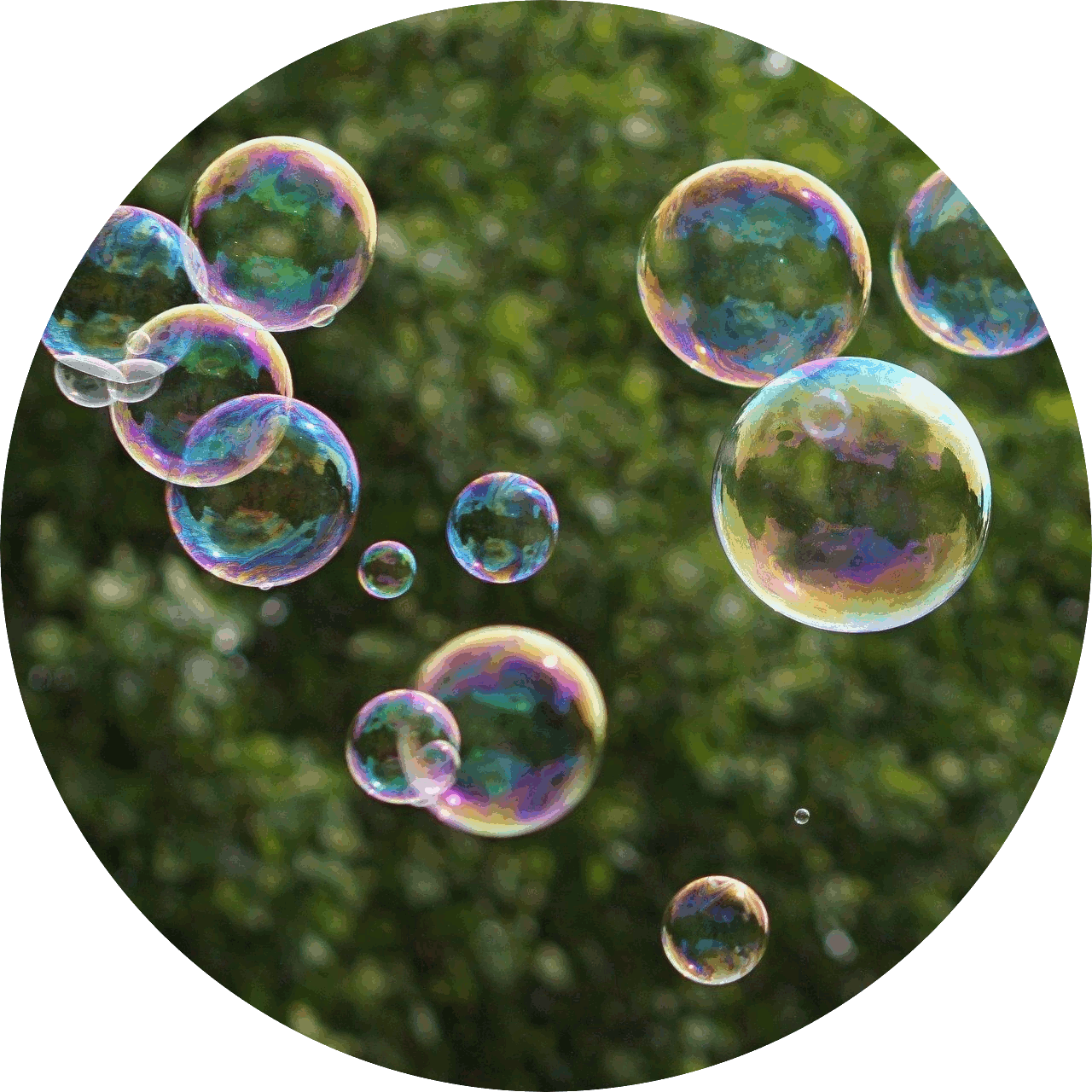 Bubbles_1280x1280.gif