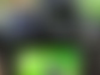 オオコノハズク 6月20日