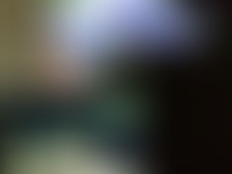 速報 オオコノハズクの新しい巣箱