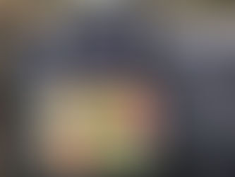 今日のアカショウビン、営巣するかも