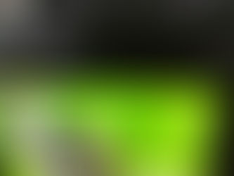 今日のふるもり 6月21日