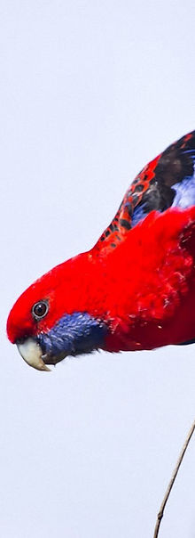 9526854229_a685c7fb8d_o_edited_edited.jp