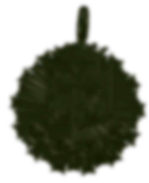 Untitled design (1).png
