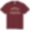 アイビー風Tシャツ