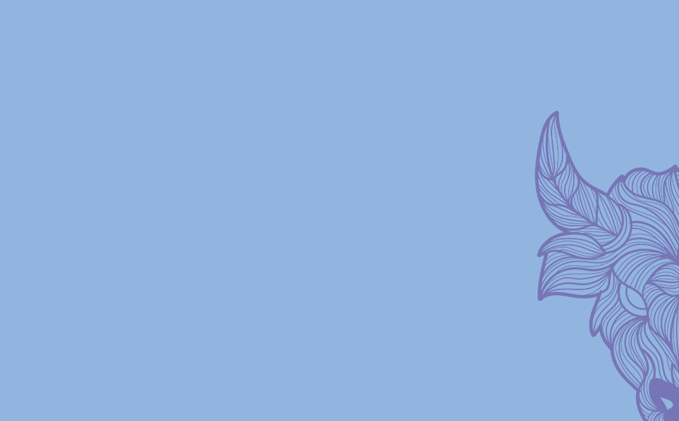 Belite Z copy.png