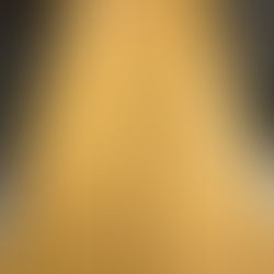 38 Sqft 2-1/4” Wide First Grade Maple Flooring