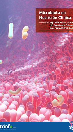 Nutrinfo microbiota.jpeg