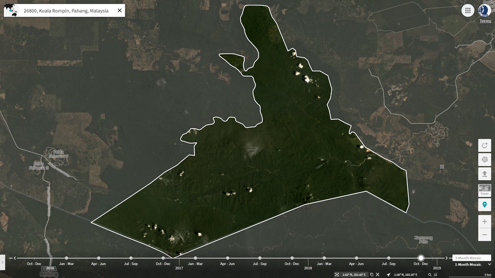 Taman Negeri Endau-Rompin: A Quiet 6000-ha Excision