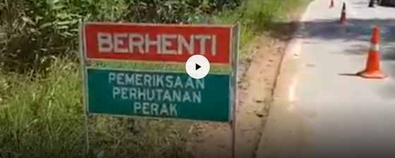 Conflict at Kuala Mu, Perak