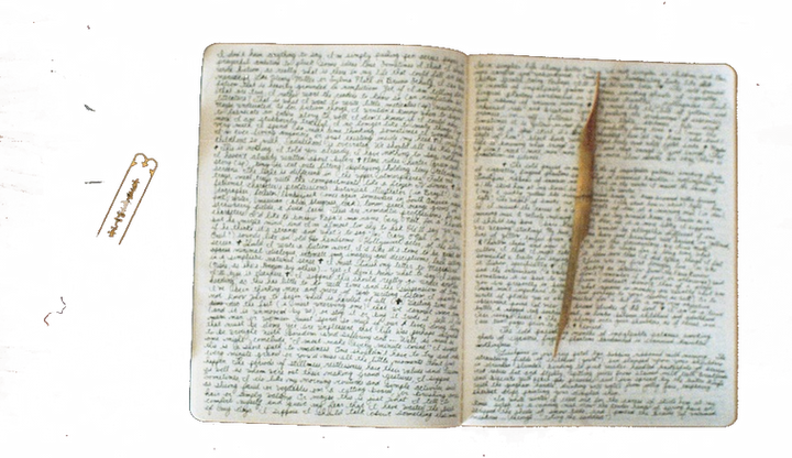 Torn Bible passage.
