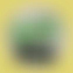 Covert Garden - Aftershock EP - Grid Recordings / GRIDUK213