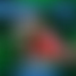 Clikvork - Unlocked - OYO / OYO015