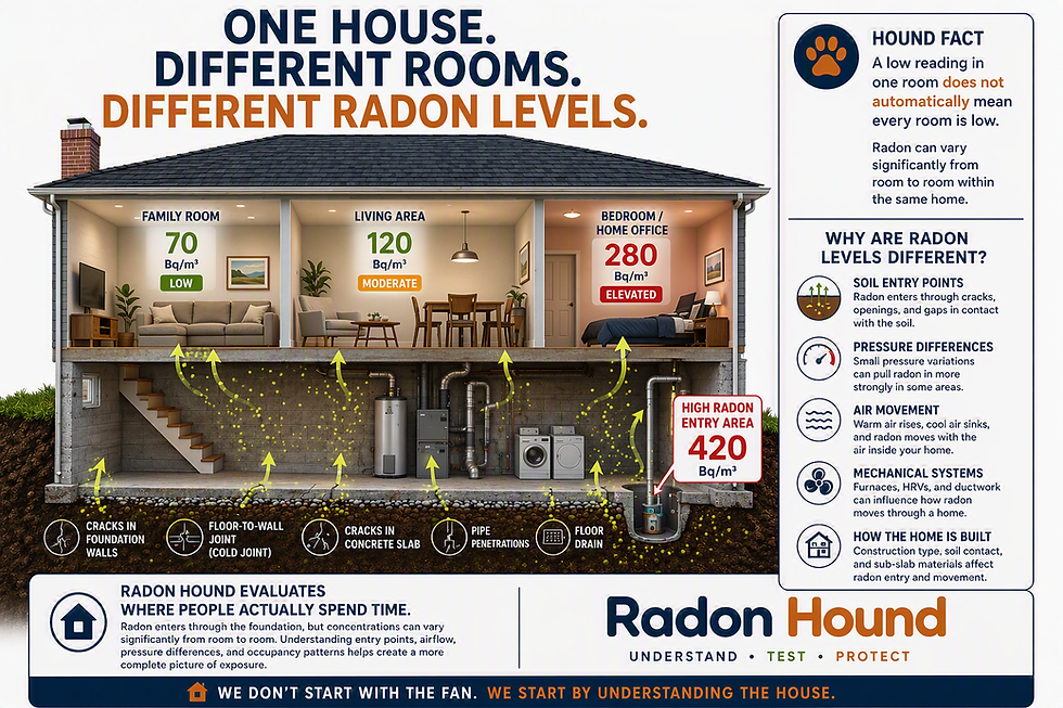 Radon Hound infographic showing a cutaway of a house with different radon levels in each room and explanations of why radon levels differ, in brand colors.