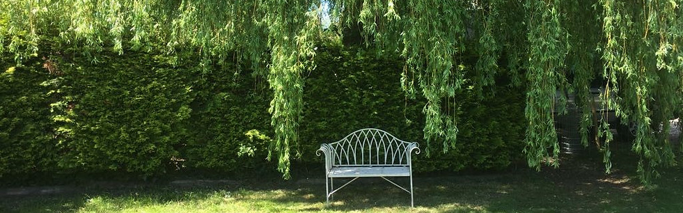 willow house.jpg