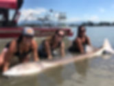 image1 (2).jpeg