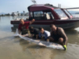 image1 (5).jpeg