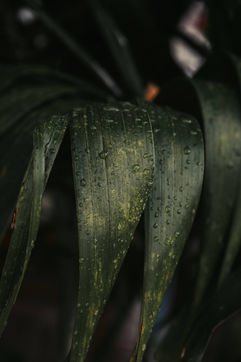 FI3A8614.jpg