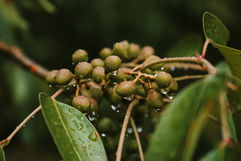 FI3A8725.jpg