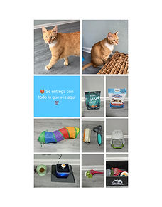 👋 Hola, Dios te bendiga 💕
Te comparto algo importante; tenemos un gatito hermoso, pero por motivos de fuerza mayor no podremos seguir cuidándolo como se merece, queremos lo mejor para él, por eso estamos buscando un hogar responsable donde reciba amor y cuidados.
Si quieres adoptarlo o conoces a alguien que quiera y que pueda darle una vida bonita, por favor escríbeme ¡Gracias por tu apoyo y comprensión! 🙏🏽
Tiene 4 añitos, está esterilizado y vacunado, no tiene ningún problema de salud.