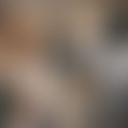 Hospitality Trends 2026: Entertainment robots and the experience-first hotel