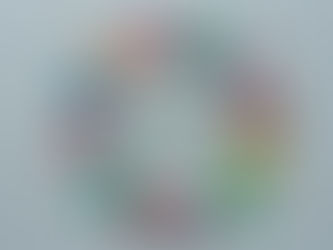 Volunteer Opportunity