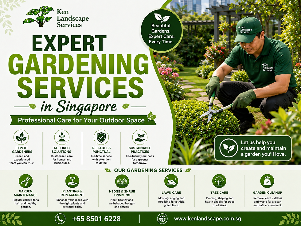 Gardening services Singapore | Ken Landscape