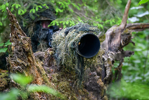 AdobeStock_359123444.jpeg