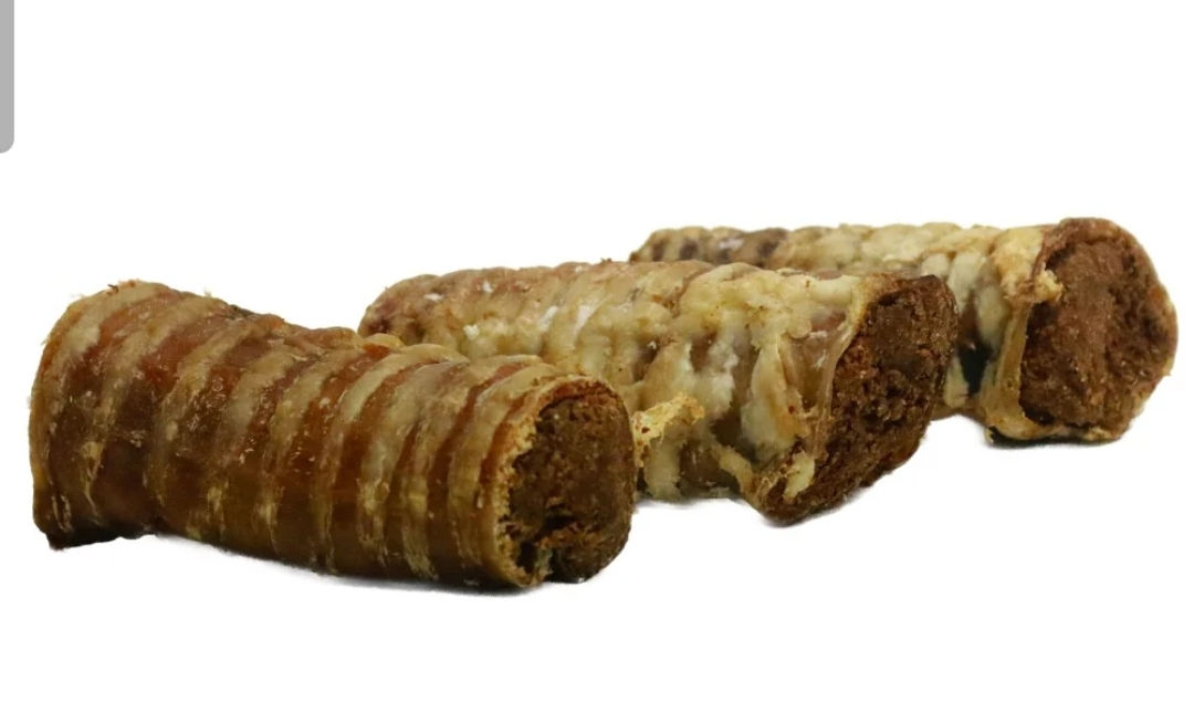 Filled Trachea (12-15cm)