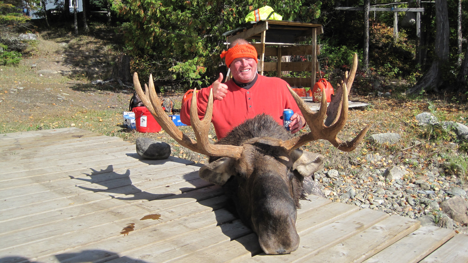 Boreal Forest OutfittersFlyIn Moose Hunting Nakina Ontario