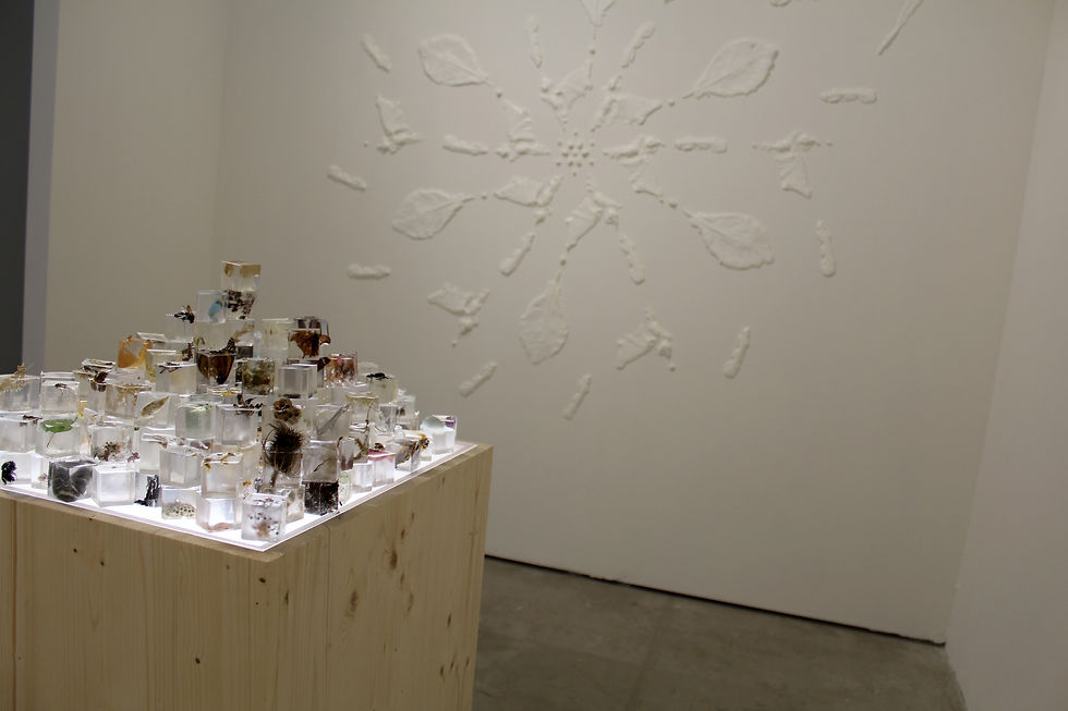 The Vacation (installed with Kosmos@ValleyHillRd)