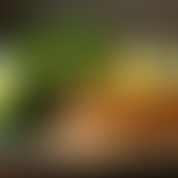 A Flavorful Journey with Ginger Lemon Chicken and Roasted Broccoli Recipe