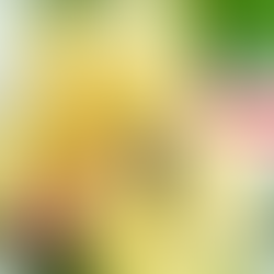 Getufit Eggbites?  Yes, please!! 