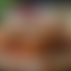 Cranberry Feta Turkey Meatballs