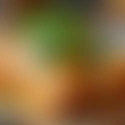 Ultimate Cinco de Mayo Enchiladas: A Chicken Feast with Beans Corn and Creamy Avocado Delight