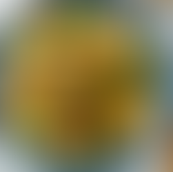 Tofu & Vegetable Curry with Zucchini Noodles