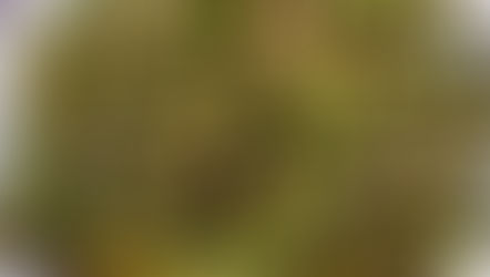 Delicious Grilled Green Beans with Olive Oil and Peanuts A Simple Recipe Guide