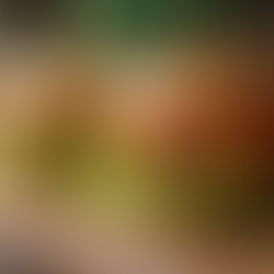 Deliciously Healthy Zucchini Turkey Corn Burgers Recipe and Ingredients Guide