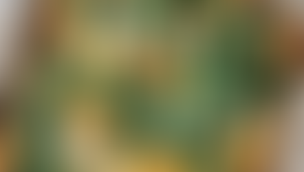 Turkey Breakfast Bake