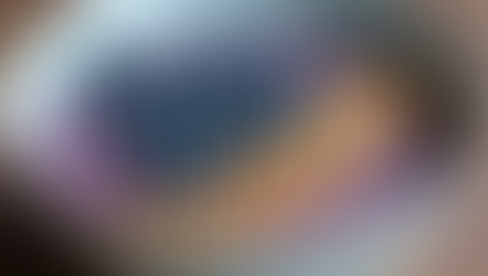 A Wholesome Delight: Exploring Blueberry Chia Pudding with Protein Powder