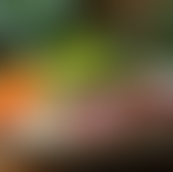 Delicious Seared Tuna Rice Bowl with Avocado Recipe and Ingredients