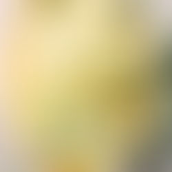 Healthy Broccoli Cheese Bake