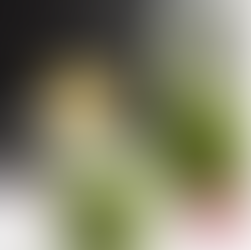 Copycat Trader Joes Green Goddess Dressing